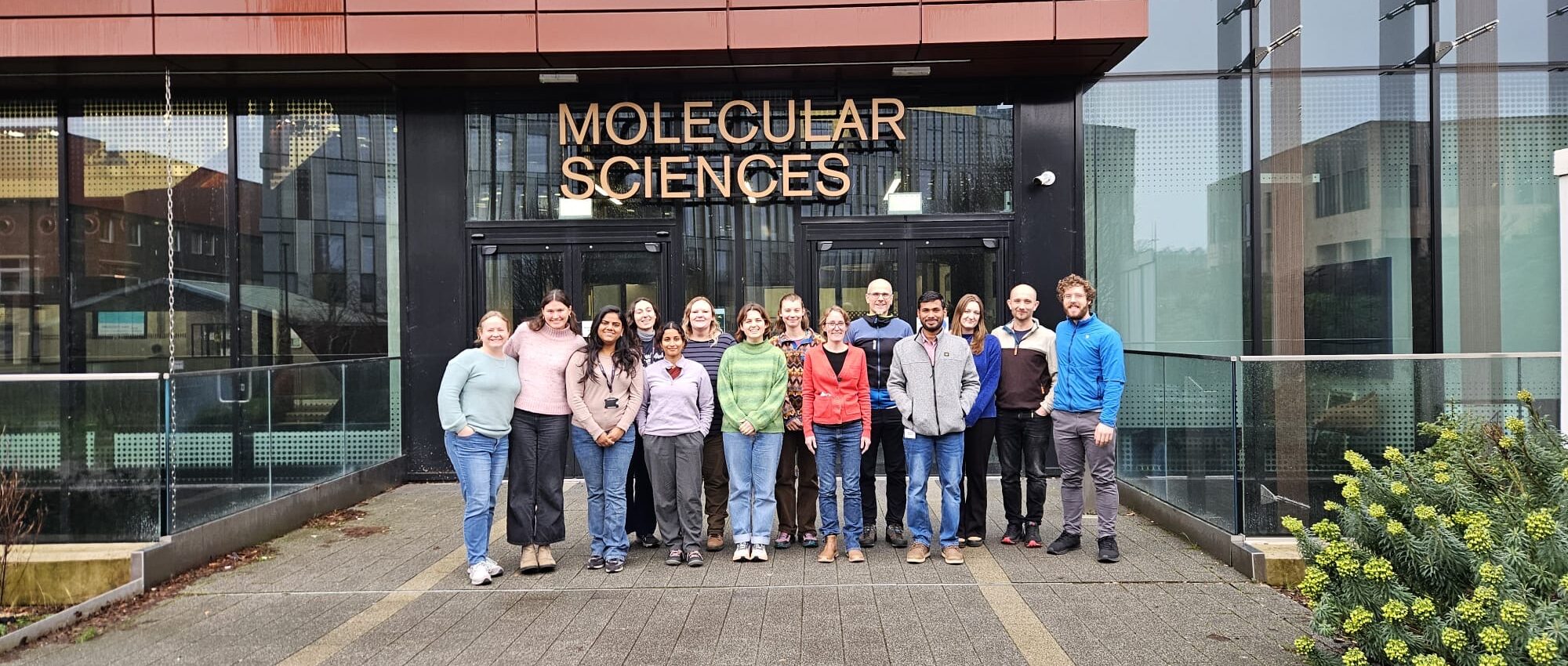 d703b405-b378-4e5d-b60b-31e880877031